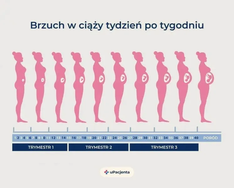 Jak skutecznie zajść w ciążę? Sprawdzone porady z forum ekspertów
