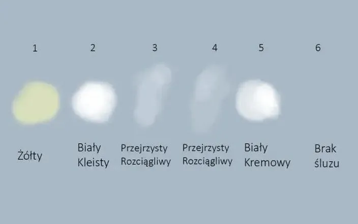 Jak zmienia się śluz w czasie ciąży - co warto wiedzieć?