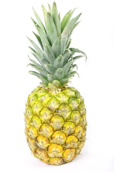 Bromelaina i szyjka macicy
