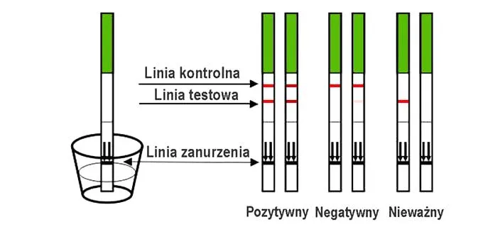 Ciążowe testy diagnostyczne