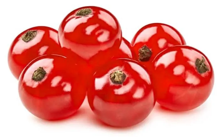 Czerwone porzeczki w diecie