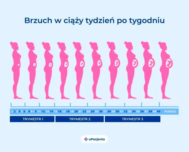 Czynniki wpływające na ciążę