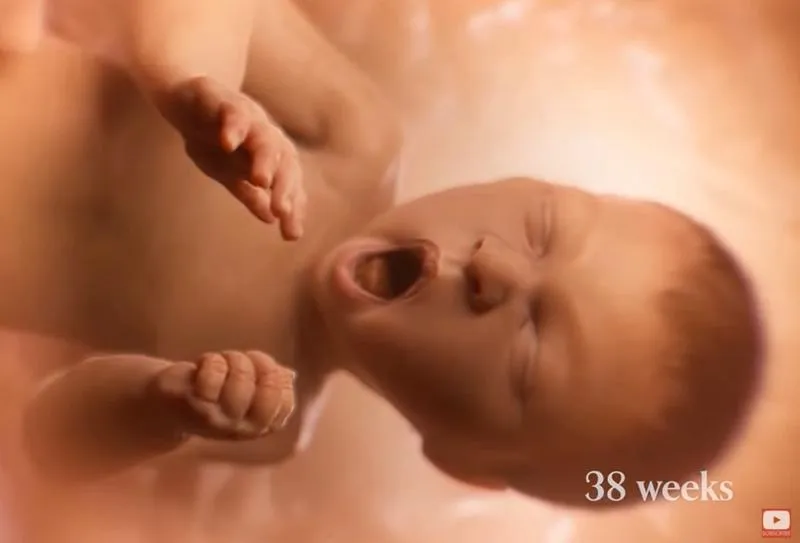 Nienarodzone dziecko