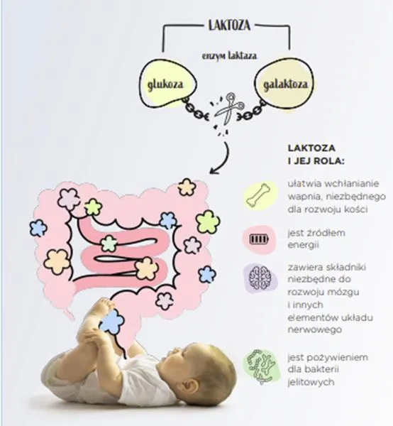 Nietolerancja białka mleka krowiego