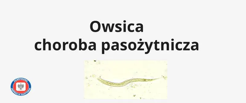 Owsica u dzieci