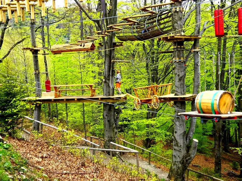 Park linowy dla dzieci