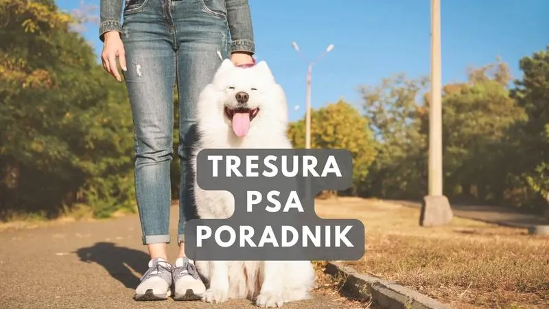 Pierwsza pomoc dla szczeniaka