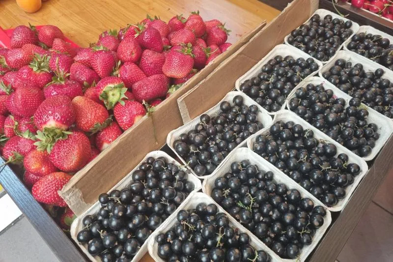 Porzeczki a karmienie piersią