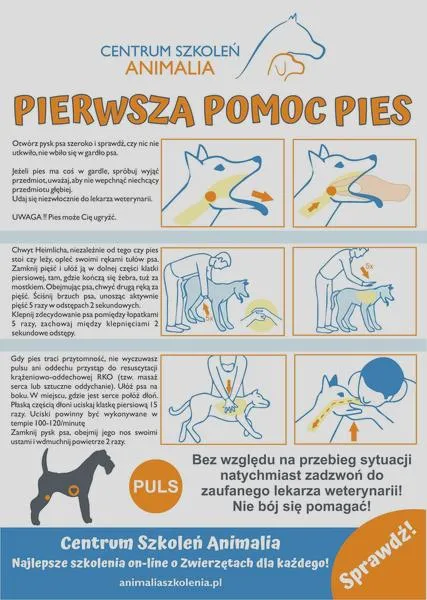 Reanimacja szczeniaka