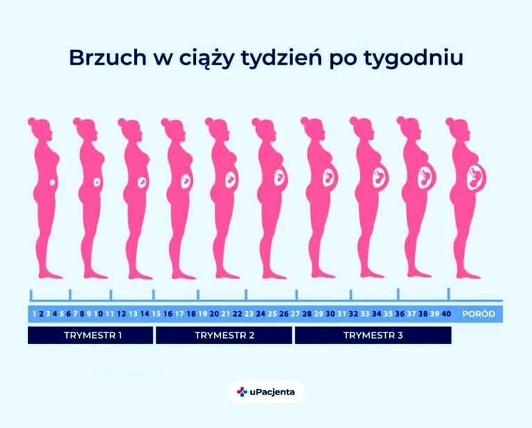 Rozwój dziecka w ciąży