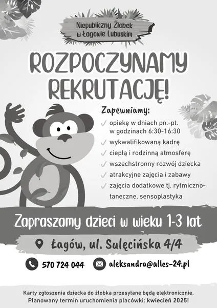 Wady żłobków publicznych