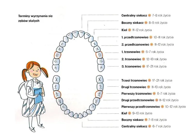 Ząbkowanie u niemowląt